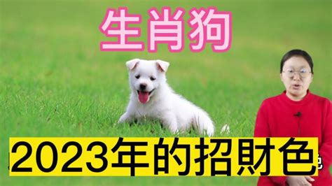 生肖狗 幸運色|2024屬狗幸運色：綠色與紅色助運指南 